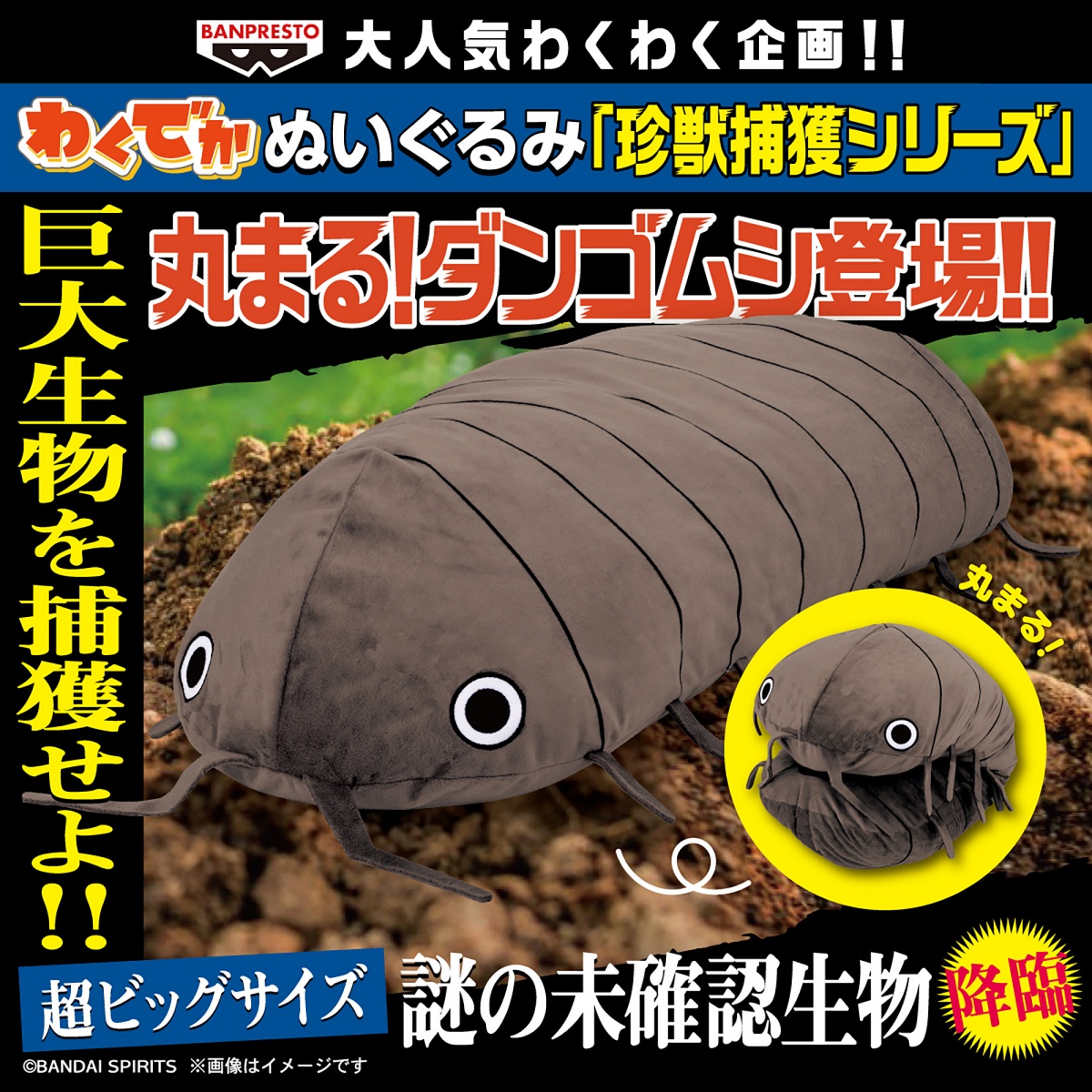 わくでかぬいぐるみ 珍獣捕獲シリーズ～丸まる！ダンゴムシ～のプライズ画像