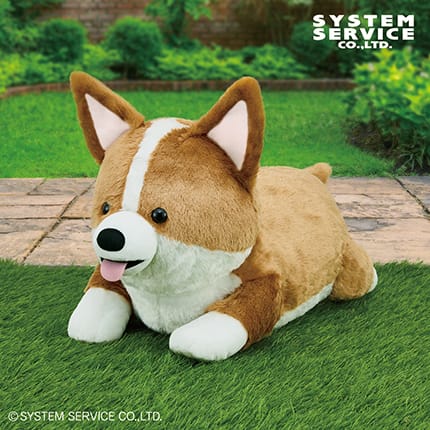 FANS コーギーぬいぐるみXL プレミアムのプライズ画像