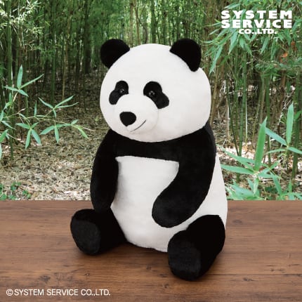 FANS パンダぬいぐるみXL プレミアムのプライズ画像