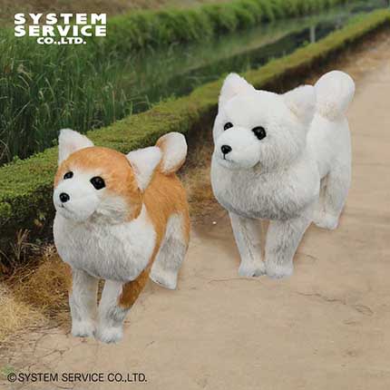 FANS 秋田犬ぬいぐるみBIGのプライズ画像