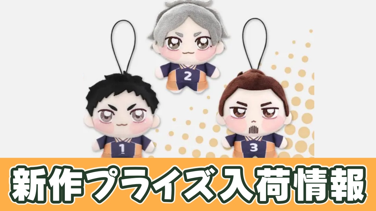 ハイキュー!! ちょぴぬいぷち④のアイキャッチ画像