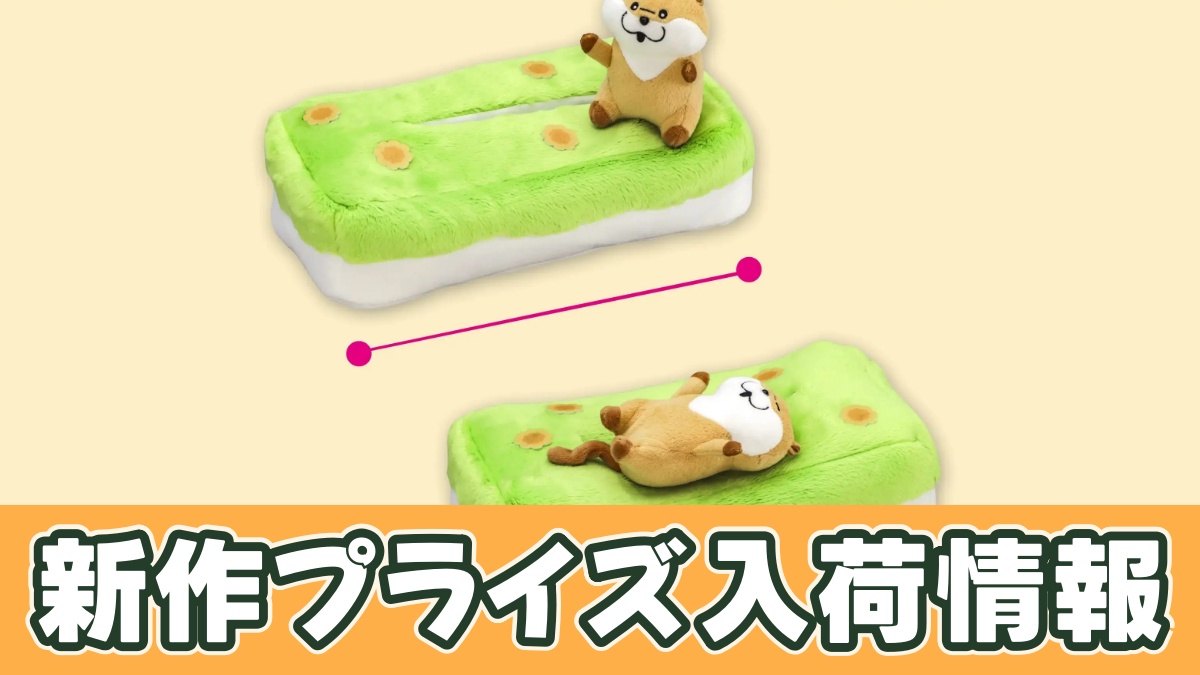 可愛い嘘のカワウソ ティッシュボックスカバーのアイキャッチ画像