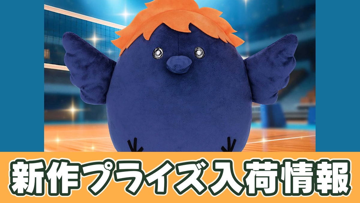 ハイキュー!! めちゃもふぐっとぬいぐるみ～ヒナガラス～のアイキャッチ画像