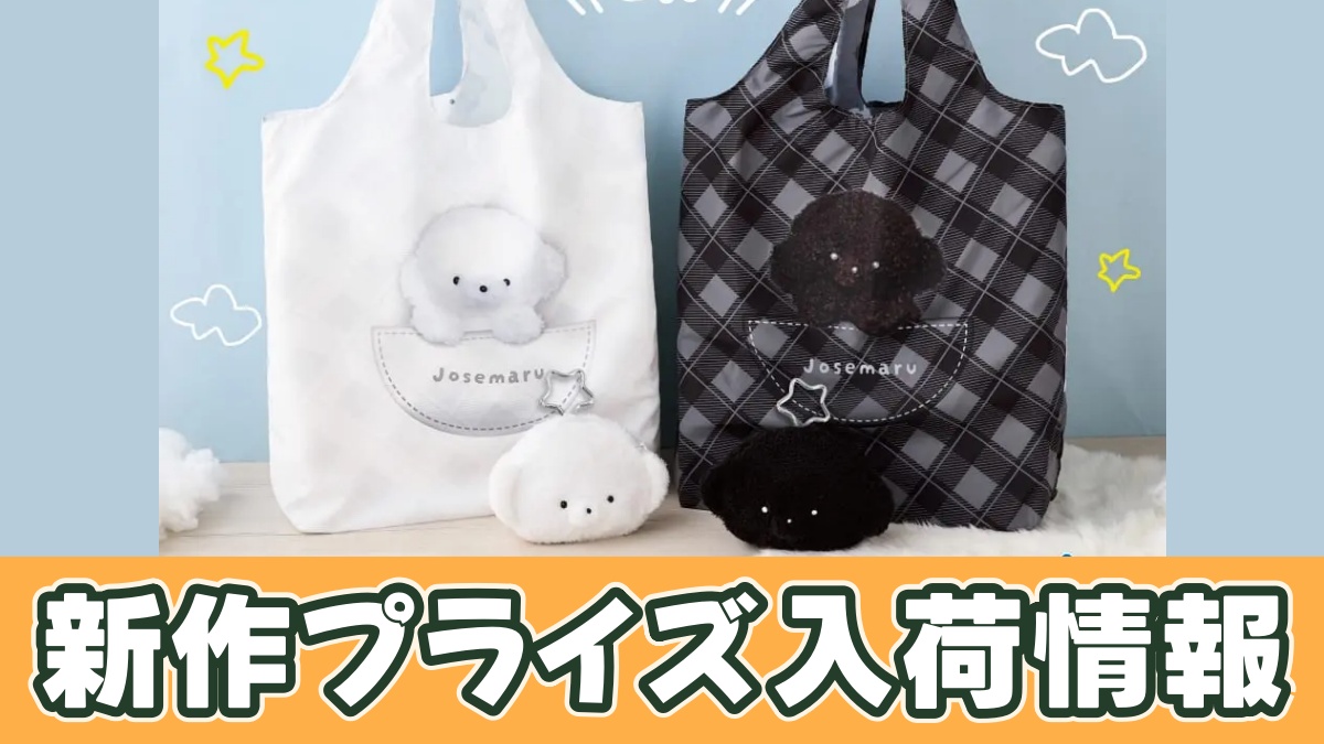 じょせまる ふぇいすぽーちつき えこばっぐのアイキャッチ画像