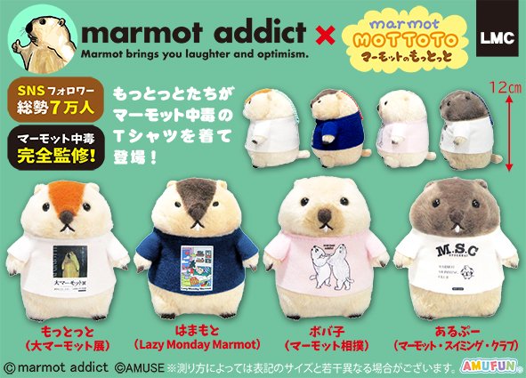 【AMUSE】マーモットのもっとっと×マーモット中毒