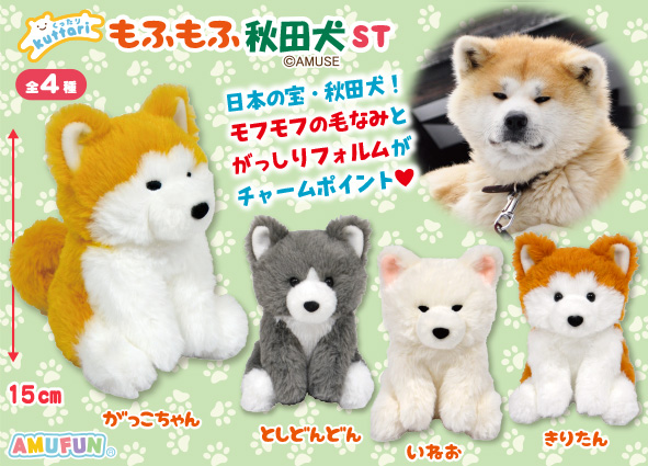 【AMUSE】くったりもふもふ秋田犬