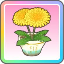 【雪解けに】倉本千奈のアイテム