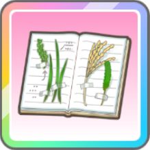 【光景】篠澤広のアイテム