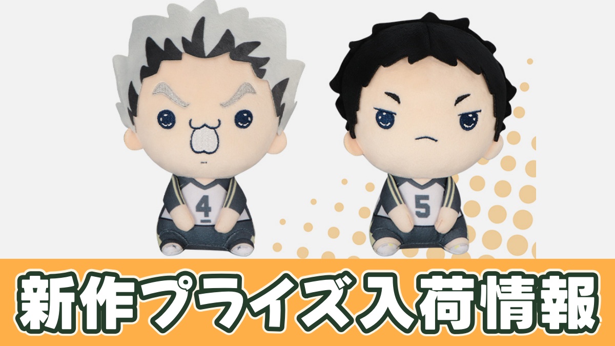 ハイキュー!! もちぴこぬいぐるみ⑦のアイキャッチ画像