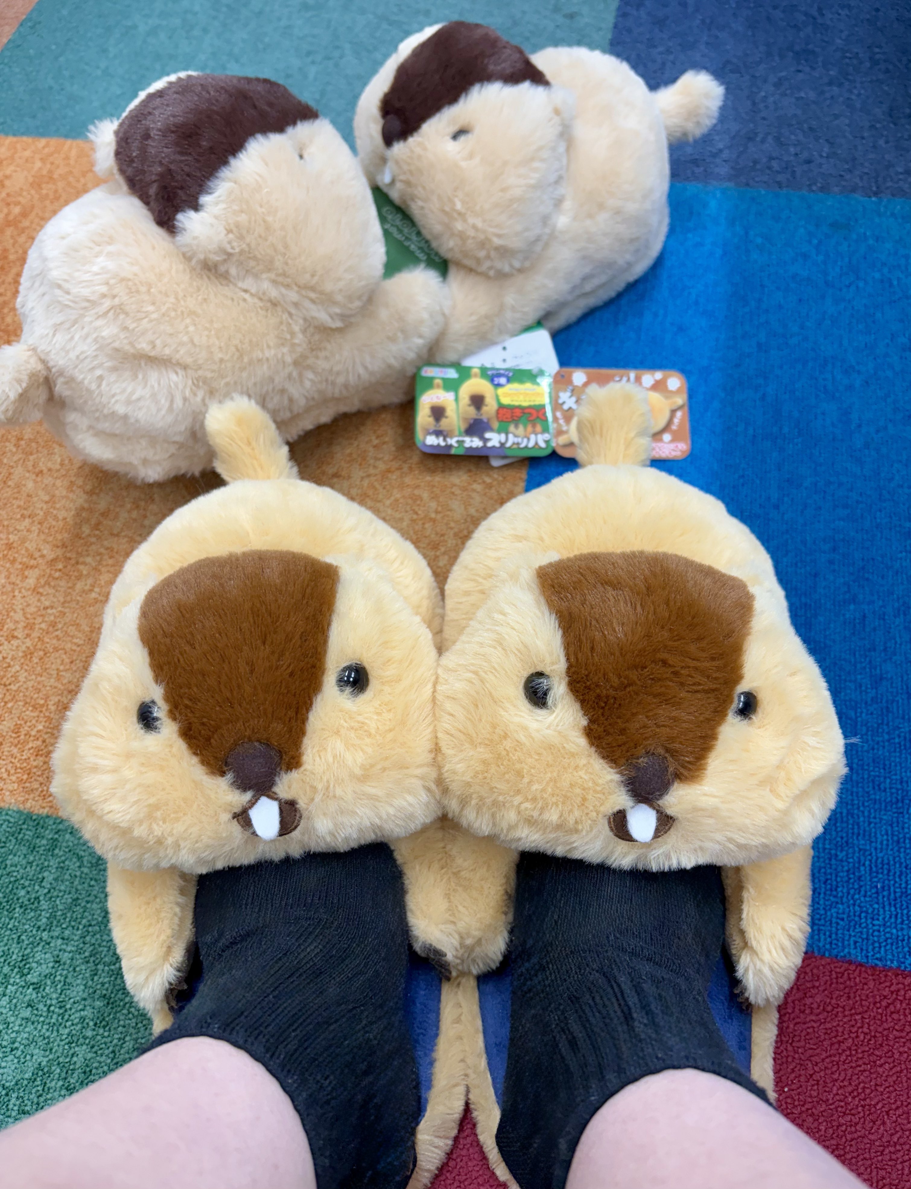 マーモットのもっとっと抱きつくぬいぐるみスリッパのプライズ画像