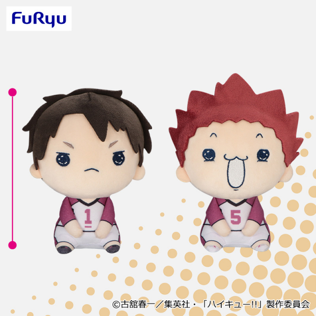 ハイキュー!! もちぴこぬいぐるみ⑧のプライズ画像