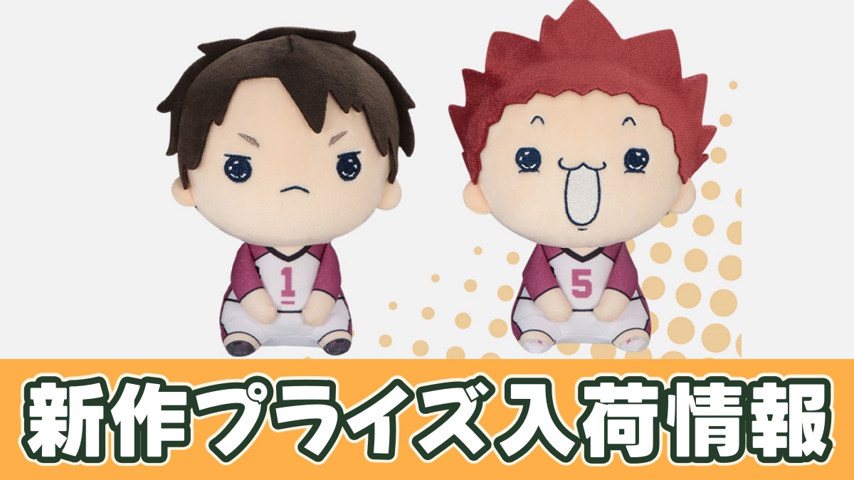 ハイキュー!! もちぴこぬいぐるみ⑧のアイキャッチ画像